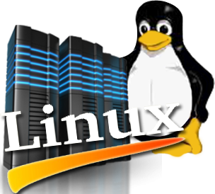 Linux Web Hosting Solutions